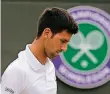  ?? FOTO: DPA ?? Novak Djokovic beim Grand Slam in Wimbledon 2017.