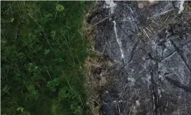  ?? Photograph: Ricardo Moraes/Reuters ?? An area of the Amazon rainforest that has been slashed and burned is seen from a police helicopter during an operation against illegal loggers in Nova Esperança do Piriá, Pará state, Brazil.