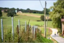  ??  ?? Rempart Dans la Meuse, une simple clôture est censée empêcher les sangliers d’entrer en France.