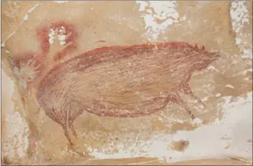  ?? AFP ?? A life-sized picture of a wild pig was made at least 45,500 years ago in Indonesia.