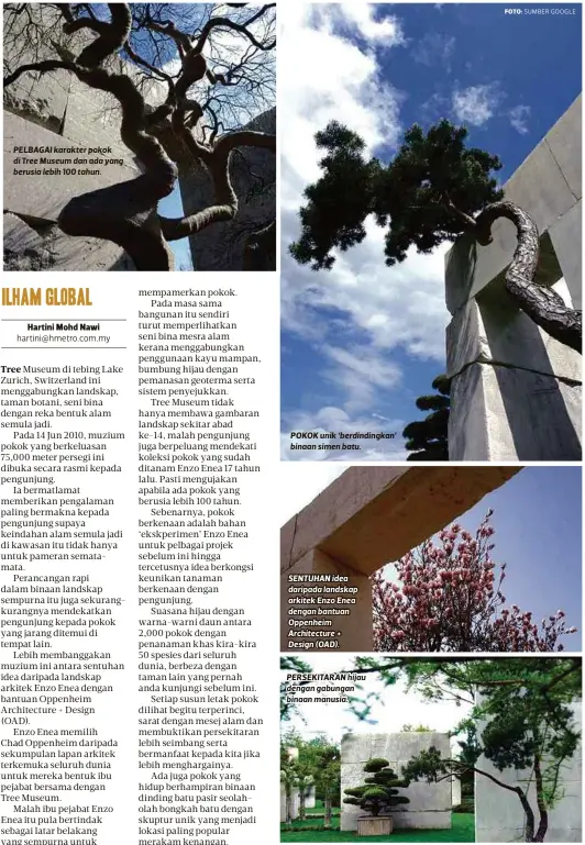  ?? FOTO: ?? PELBAGAI karakter pokok di Tree Museum dan ada yang berusia lebih 100 tahun. POKOK unik ‘berdinding­kan’ binaan simen batu. SENTUHAN idea daripada landskap arkitek Enzo Enea dengan bantuan Oppenheim Architectu­re + Design (OAD).
PERSEKITAR­AN hijau...