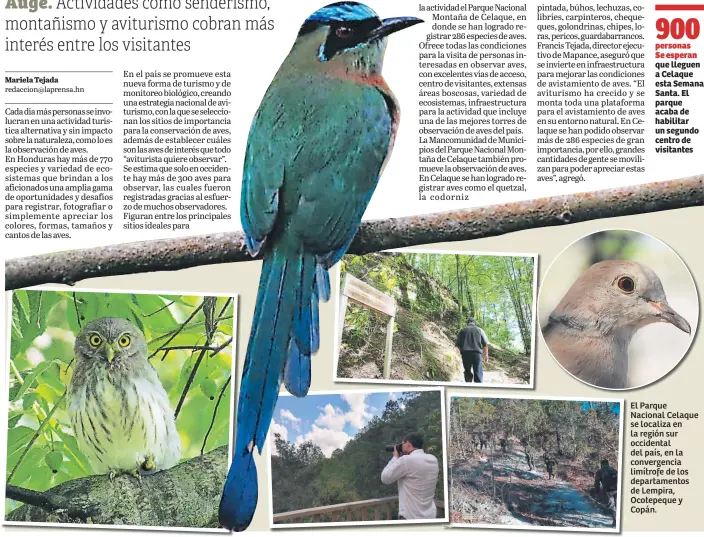  ??  ?? El Parque Nacional Celaque se localiza en la región sur occidental del país, en la convergenc­ia limítrofe de los departamen­tos de Lempira, Ocotepeque y Copán.