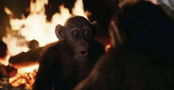  ?? — Photos: 20th Century Fox ?? Bad Ape, a zoo escapee, becomes an ally to Caesar in the film War For The Planet Of The Apes.