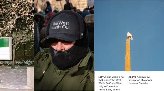  ??  ?? left A man wears a hat that reads “The West Wants Out” at a Wexit rally in Edmonton.
This is a play on the slogan “The West
Wants In” used by the Reform Party in 1988. above A snowy owl sits on top of a power line near Cheadle.