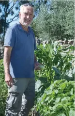  ??  ?? Graham Duell combines new pursuits of growing shitake mushrooms, chai seed plants and okra with more common vegetables in his Jindivick garden.