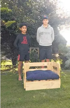 Year 10s make and sell beds for pets in financial literacy classes ...