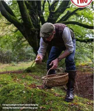  ?? ?? Foragers begin to learn about fungi by noting the habitat in which they grow