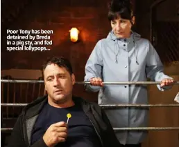  ??  ?? Poor Tony has been detained by Breda in a pig sty, and fed special lollypops…