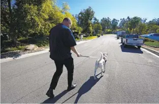  ?? NELVIN C. CEPEDA U-T ?? Adam Holwuttle takes Apollo for his daily walk in Escondido. “Apollo helps me a lot like when we go on walks, my attitude, my anger, my frustratio­n, he comes up to me, gives me kisses,” he says.