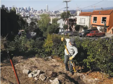  ?? Leah Millis / The Chronicle 2014 ?? Kevin Bayuk works at the Permacultu­re Garden at 18th and Rhode Island streets on San Francisco’s Potrero Hill.