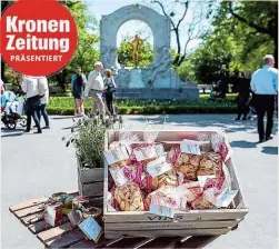  ??  ?? Wunderschö­n und einladend zeigt sich der Stadtpark