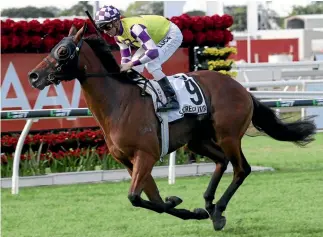  ?? TERTIUS PICKARD ?? Zac Purton and Sacred Elixir race away with the JJ Atkins at Eagle Farm yesterday.