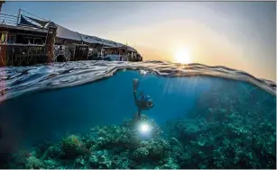  ?? — Tourism Australia ?? Go on a virtual underwater reef tour of the Great Barrier reef from the comfort of your home.