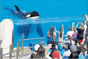  ?? Hayne Palmour IV San Diego Union-Tribune ?? ONE OF the SeaWorld emails unsealed as part of a lawsuit was titled “Lost Blackfish revenue — confidenti­al” and written months before SeaWorld acknowledg­ed it was hurt by the film. Above, a SeaWorld show last year.