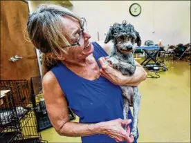  ?? NICK GRAHAM / STAFF ?? Dara Lynch, owner of Fur-Ree Friends Grooming Salon in Franklin, helps groom rescued poodles Wednesday at The Humane Society of Warren County. The dogs are known as the “Lucky 111.”