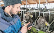  ?? FOTO: RALF LIENERT ?? Das Smartphone gehört für den Landwirt Thomas Abler in ScheideggU­nterschwen­den auch im Kuhstall unbedingt dazu.
