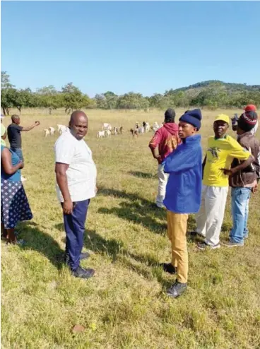  ?? ?? SUPPORTIVE: Fellow citizens herding Chin’ono’s goats