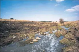  ??  ?? Mismanaged: Sewage from the Botleng treatment plant flows into a stream that joins the Bronkhorst­spruit River. Photo: Anthony Schulz