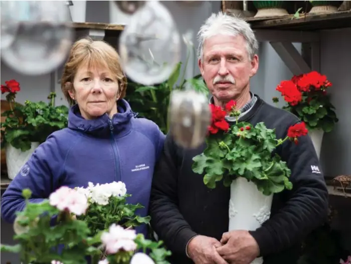  ?? FOTO: FRIDA JARETEG ?? ÄLSKAR JOBBET. Märtha och Sammy Ullgren jobbar nästan alla vakna timmar med sin handelsträ­dgård.