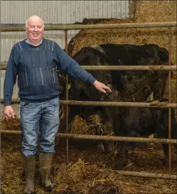  ??  ?? Des Morrison, Chairperso­n of ICMSA Livestock Committee, on his farm in Enniscrone, Co Sligo.