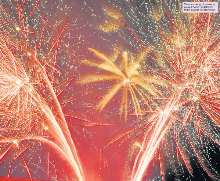  ??  ?? There are plenty of venues to enjoy fireworks and Bonfire Night in Wales this November