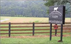  ?? / Doug Walker ?? Wes Walraven and Brian Moore’s Lyons Bridge Farm has experience­d tremendous growth in their beef business over the past four years. Their herd now numbers close to 400 cattle.