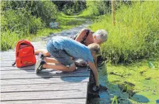  ?? FOTO: STEFFEN LANG ?? Romeo Heß entnimmt gemeinsam mit Moorführer­in Petra Wolz aus einem Wasserlauf im Moor eine Probe.