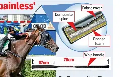 ‘Foam whip is loud but painless’ - PressReader