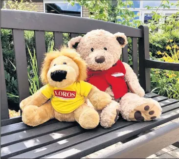  ??  ?? Lionel is missing his friend Archie so LOROS want people to bring their own bears into the Loughborou­gh shop to cheer him up in August.
