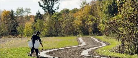  ?? ?? Alors que le programme de crédits pour la plantation d’arbres, adopté en décembre 2022, s’adresse au marché du carbone réglementé, beaucoup plus contraigna­nt, d’autres services sont offerts sur le marché du carbone volontaire, qui est moins restrictif.