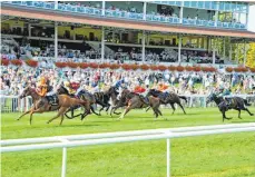  ?? FOTO: BADEN RACING ?? Die anderen Stars in Iffezheim sind die schnellen Pferde.