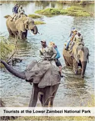 ??  ?? Tourists at the Lower Zambezi National Park