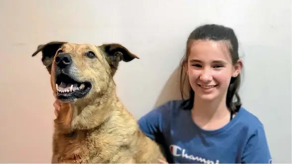  ?? ?? Sandy the dog poses with Molly Chisholm, one of the two girls sharing the role of Annie for North Canterbury Musical’s production of Annie playing in the Rangiora Town Hall in May.