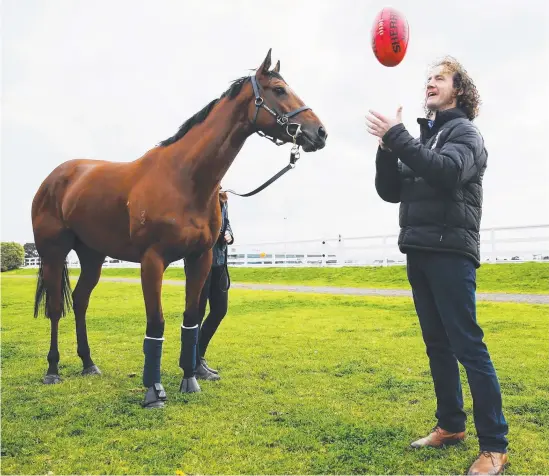  ?? Picture: MICHAEL DODGE/RACING PHOTOs ?? PEAK CONDITION: Trainer Ciaron Maher with stable star Jameka, who contests tomorrow’s Turnbull Stakes.