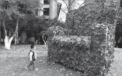  ?? LONG WEI / FOR CHINA DAILY ?? In leaf
A child looks at a sofa made of leaves on the China Academy of Art campus in Hangzhou, Zhejiang province, on Tuesday. A festival featuring art works made of leaves was launched at the academy on Monday. The event runs through the end of this...