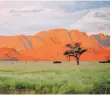  ?? FOTO: NAMIBIA TOURISM BOARD ?? Namibia bietet traumhafte Landschaft­en.