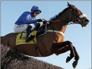  ??  ?? RETURN: The Colin Tizzard horse Cue Card will go for the Gold Cup on Friday having fallen in the race last year when in with every chance of winning