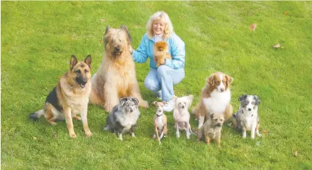  ??  ?? Bonnie Judd is head trainer and wrangler for Canine Co-Stars, a B.C.-based animal wrangling agency. Judd is looking forward to a return to healthier times. As it is, special care must be taken with the use of hand sanitizers and animals as the alcohol in the liquids and gels can be unsafe if it is ingested. Actors on set are often advised to wash their hands before touching the animals.