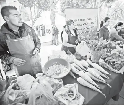  ??  ?? Expo venta Consume Local CDMX, organizada por la Sederec en el Monumento a la Revolución en septiembre pasado ■ Foto Jair Cabrera