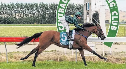  ?? PHOTO: WILD RANGE PHOTOGRAPH­Y ?? Who dares wins . . . Daring tactics paid off for rider Tanya Jonker when she won the Clare Memorial Gold Cup with Yamato Nadeshiko at Omakau on yesterday.