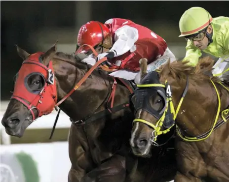  ??  ?? Asyyad, left, with jockey Tadhg O’Shea in the saddle, prevailed over Goshawke by a nose Erika Rasmussen for The National