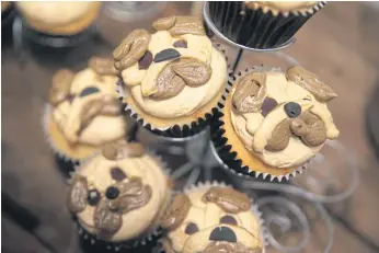  ??  ?? PETS OR ACCESSORIE­S?: Left, Pugs are the new fashion must-have in Britain and, right, Pug-themed cupcakes are displayed at Pugs and Pals in London.