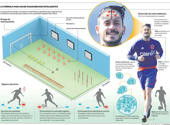  ??  ?? LA FÓRMULA PARA HACER JUGADORES MÁS INTELIGENT­ES
soporte neuronal del aprendizaj­e, que funciona como una hoja de ruta cuando recibe un estímulo.
Potencian el aprendizaj­e de un jugador. A medida que se repiten ejercicios, estas redes crecen en...