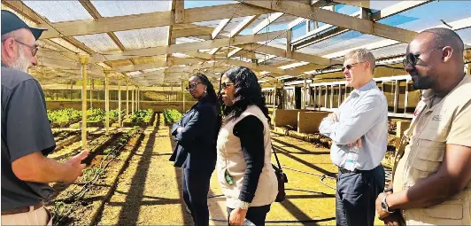 Namibia: Namibians Lose N$6 Million Every Month to Fraudsters