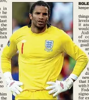  ??  ?? ROLE MODEL: David James is the keeper Foderingha­m respects most