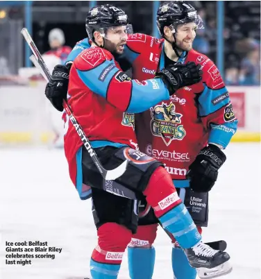  ??  ?? Ice cool: Belfast Giants ace Blair Riley celebrates scoring last night