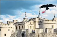  ??  ?? i A raven at the Tower of London. They have an eye for Gothic grandeur