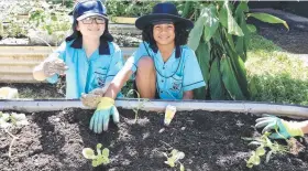  ?? Picture: DEBBIE KURUCZ ?? NURTURING: Jack Clarke and Elijah Geary preparing the vegetable garden at St Rita’s School, Babinda.