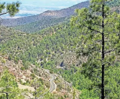  ??  ?? A winding road passes through the forest atop Mingus Mountain, which separates Prescott and the Verde Valley.