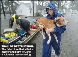  ??  ?? TRAIL OF DESTRUCTIO­N: The fallen tree that killed a mother and baby, left, and a volunteer rescues a dog